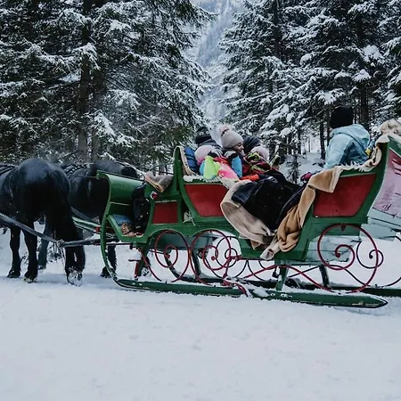 Laderding Comfortable Holiday home Bad Hofgastein